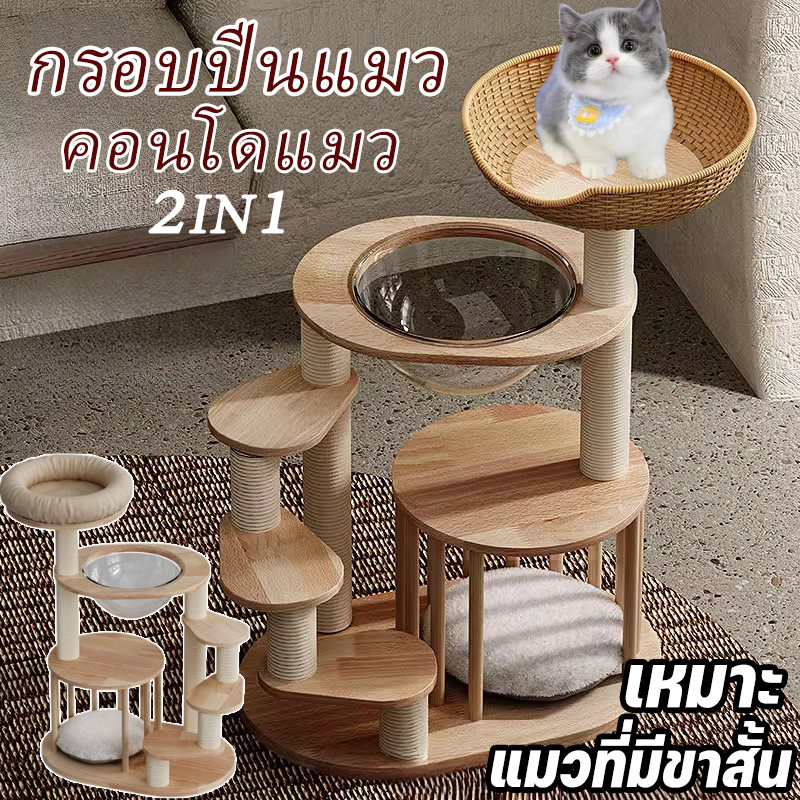 【Option World】กรอบปีนแมว ของเล่นแมวปีน คอนโดแมว ต้นไม้แมว ของเล่นแมว แข็งแรง ทนทาน