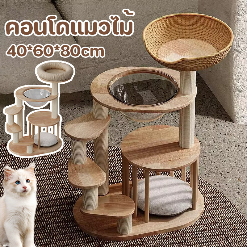 คอนโดแมว ต้นไม้แมว บ้านแมว ที่ลับเล็บแมว ของเล่นแมว แมวที่มีขาสั้น