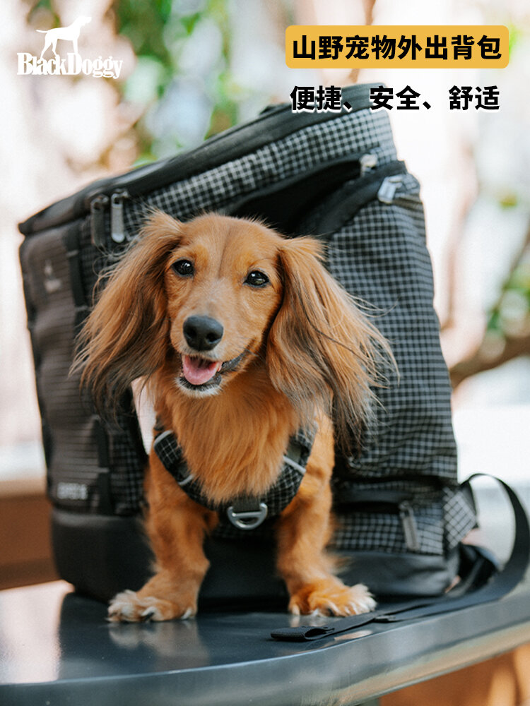 Outdoor Pet Backpack For Small Dogs 15 Pounds